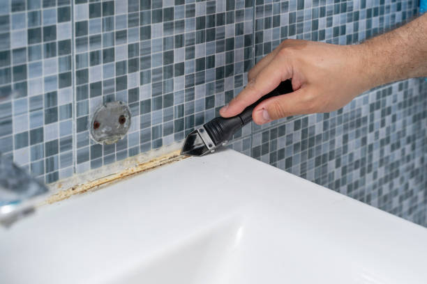 Best Basement Mold Remediation in Holly Hill, FL